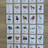 30 flashcards illustrées du Kit "Les Animaux" avec QR code pour écouter les cris des animaux, adaptées aux enfants de 3 à 6 ans.